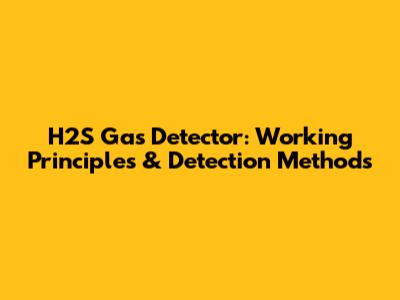 H2S Gas Detector: Working Principles & Detection Methods