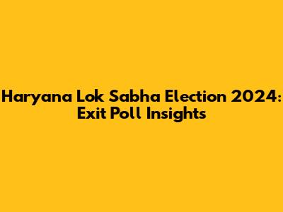 Haryana Lok Sabha Election 2024: Exit Poll Insights