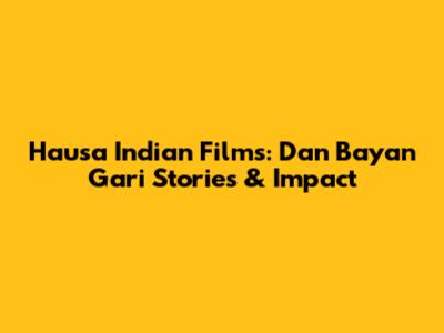 Hausa Indian Films: *Dan Bayan Gari* Stories & Impact