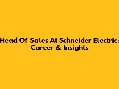 Head Of Sales At Schneider Electric: Career & Insights