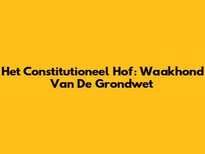 Het Constitutioneel Hof: Waakhond Van De Grondwet
