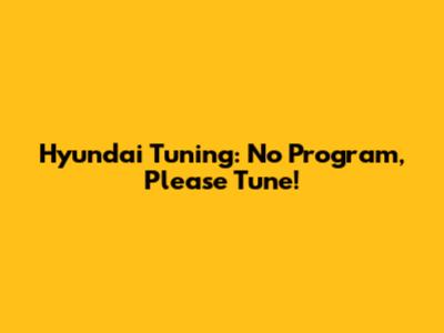 Hyundai Tuning: No Program, Please Tune!