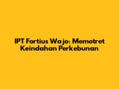 IPT Fortius Wajo: Memotret Keindahan Perkebunan