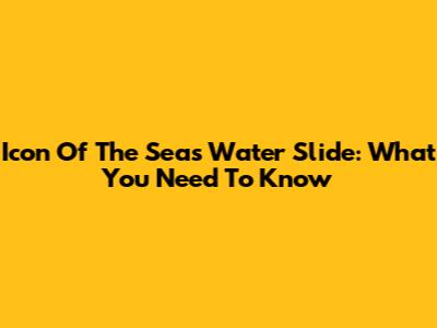 Icon Of The Seas Water Slide: What You Need To Know