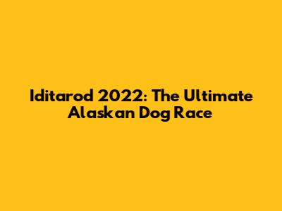 Iditarod 2022: The Ultimate Alaskan Dog Race