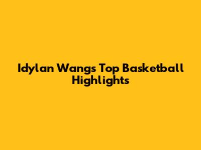Idylan Wang's Top Basketball Highlights