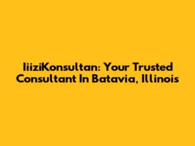 IiiziKonsultan: Your Trusted Consultant In Batavia, Illinois