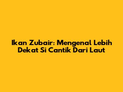Ikan Zubair: Mengenal Lebih Dekat Si Cantik Dari Laut
