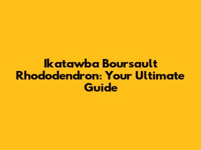 Ikatawba Boursault Rhododendron: Your Ultimate Guide