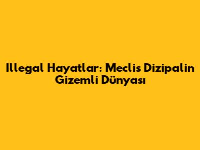 Illegal Hayatlar: Meclis Dizipal'in Gizemli Dünyası