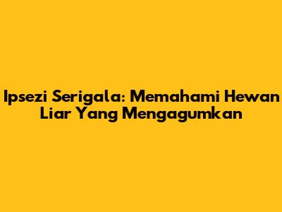 Ipsezi Serigala: Memahami Hewan Liar Yang Mengagumkan