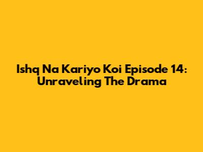 Ishq Na Kariyo Koi Episode 14: Unraveling The Drama