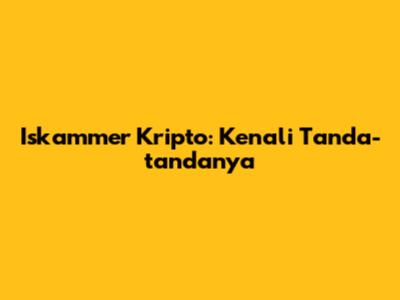 Iskammer Kripto: Kenali Tanda-tandanya