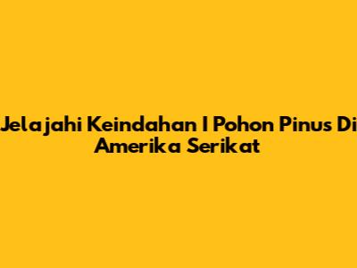 Jelajahi Keindahan I Pohon Pinus Di Amerika Serikat
