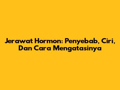 Jerawat Hormon: Penyebab, Ciri, Dan Cara Mengatasinya