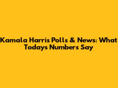 Kamala Harris Polls & News: What Today's Numbers Say