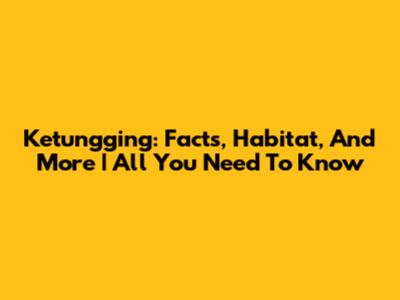 Ketungging: Facts, Habitat, And More | All You Need To Know