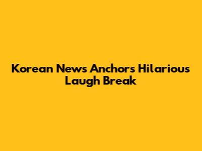Korean News Anchor's Hilarious Laugh Break