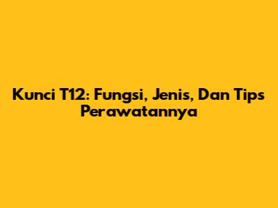 Kunci T12: Fungsi, Jenis, Dan Tips Perawatannya