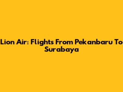 Lion Air: Flights From Pekanbaru To Surabaya