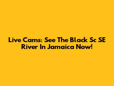 Live Cams: See The Black Sc SE River In Jamaica Now!
