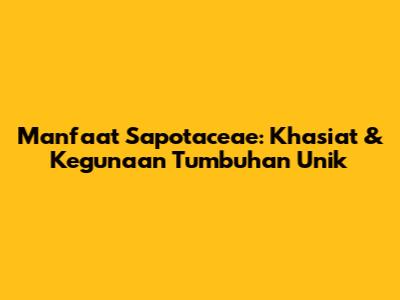 Manfaat Sapotaceae: Khasiat & Kegunaan Tumbuhan Unik
