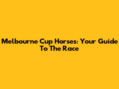 Melbourne Cup Horses: Your Guide To The Race