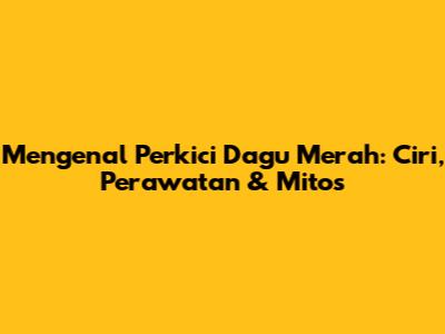 Mengenal Perkici Dagu Merah: Ciri, Perawatan & Mitos