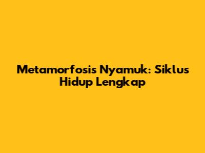 Metamorfosis Nyamuk: Siklus Hidup Lengkap
