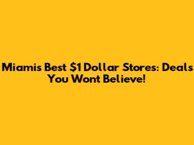 Miami's Best $1 Dollar Stores: Deals You Won't Believe!