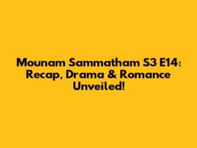 Mounam Sammatham S3 E14: Recap, Drama & Romance Unveiled!