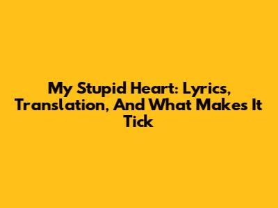 My Stupid Heart: Lyrics, Translation, And What Makes It Tick