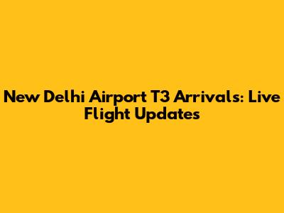 New Delhi Airport T3 Arrivals: Live Flight Updates