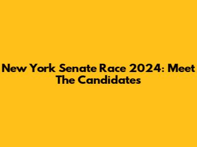 New York Senate Race 2024: Meet The Candidates