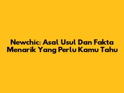 Newchic: Asal Usul Dan Fakta Menarik Yang Perlu Kamu Tahu