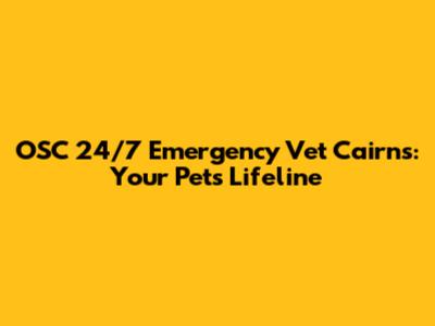 OSC 24/7 Emergency Vet Cairns: Your Pet's Lifeline
