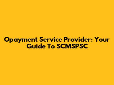 Opayment Service Provider: Your Guide To SCMSPSC