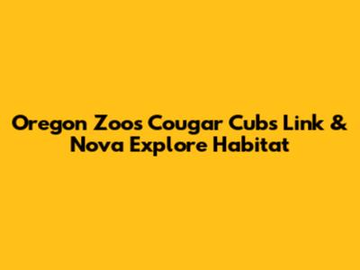 Oregon Zoo's Cougar Cubs Link & Nova Explore Habitat
