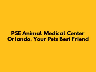 PSE Animal Medical Center Orlando: Your Pet's Best Friend