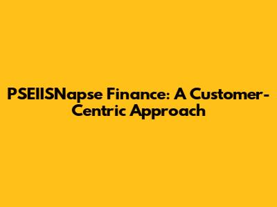PSEIISNapse Finance: A Customer-Centric Approach