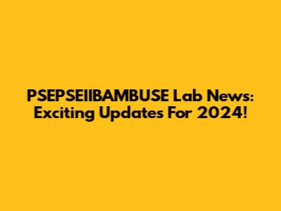 PSEPSEIIBAMBUSE Lab News: Exciting Updates For 2024!