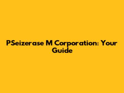 PSeizerase M Corporation: Your Guide