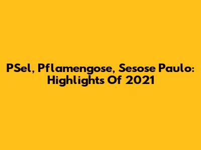 PSel, Pflamengose, Sesose Paulo: Highlights Of 2021