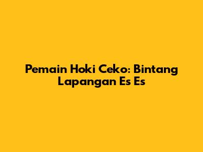 Pemain Hoki Ceko: Bintang Lapangan Es Es
