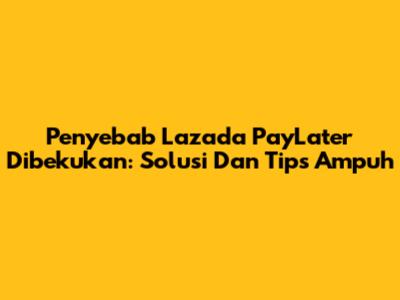 Penyebab Lazada PayLater Dibekukan: Solusi Dan Tips Ampuh