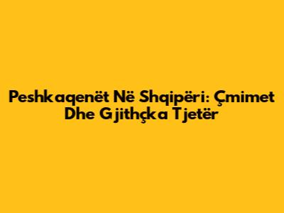Peshkaqenët Në Shqipëri: Çmimet Dhe Gjithçka Tjetër