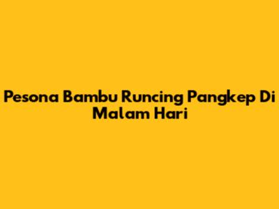 Pesona Bambu Runcing Pangkep Di Malam Hari
