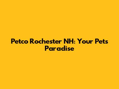 Petco Rochester NH: Your Pet's Paradise