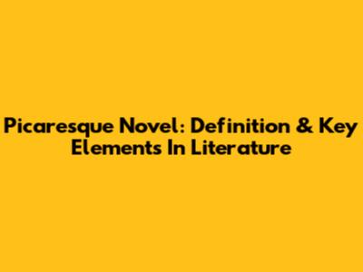 Picaresque Novel: Definition & Key Elements In Literature