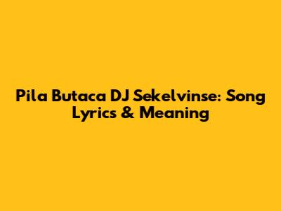 Pila Butaca DJ Sekelvinse: Song Lyrics & Meaning